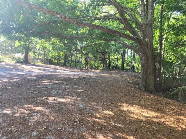 Ferry Park Disc Golf Course