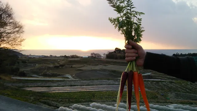 フレッシュグループ淡路島