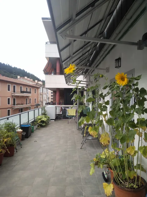 Aldabea Apartamentu Jasangarriak