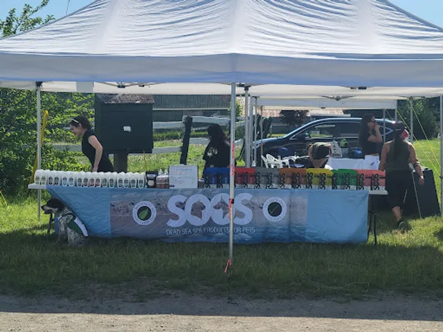 Woodbridge Fairground