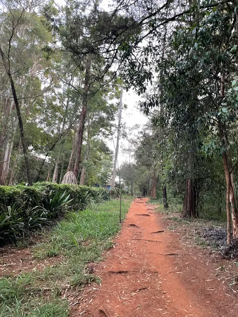 Nairobi Arboretum Entrance and car park.