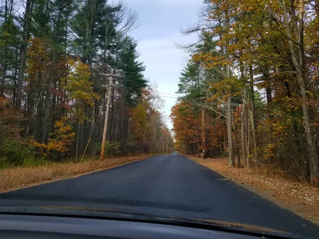 J. Harry Rich State Forest