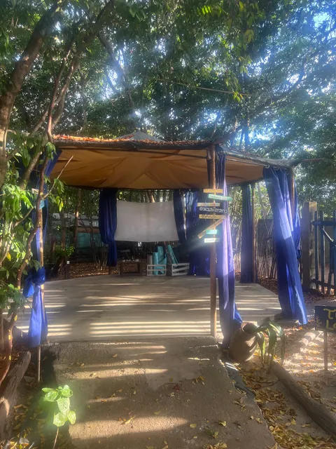 Lagarto na Banana hostel