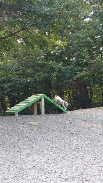 Smith Clove Dog Park