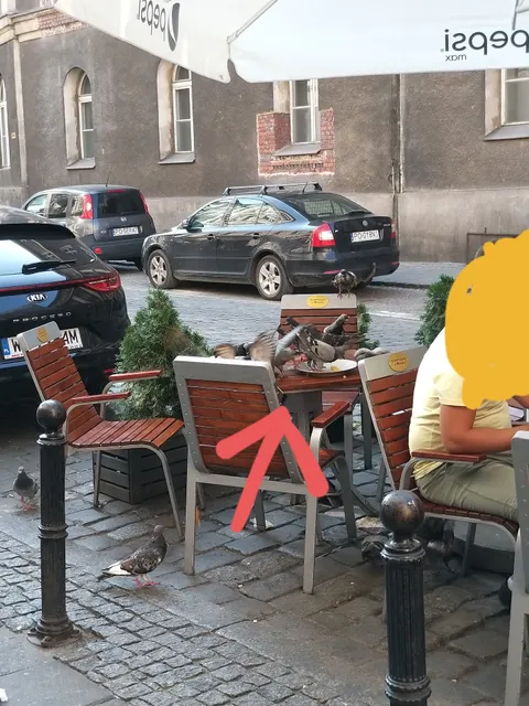 Schaboszczak od Dziadka