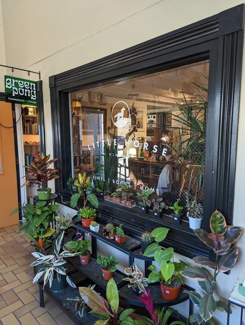 Little Horse Vintage Louisville