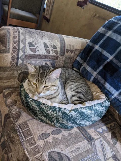 Park County Animal Hospital