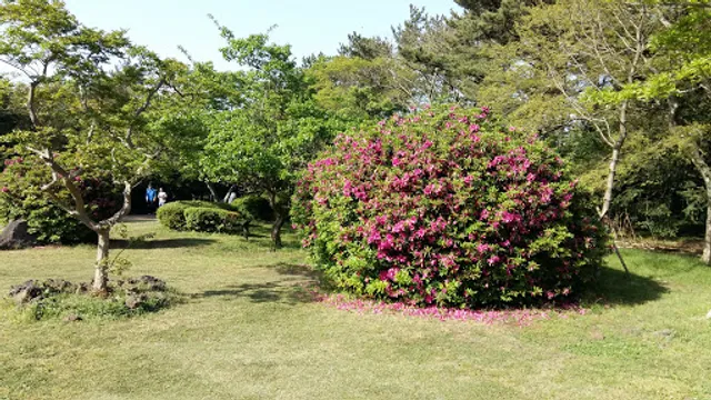 메이즈웰빙한식당