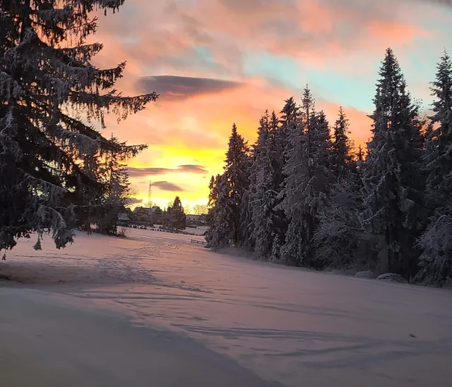 Domek do wynajęcia Dreamplace