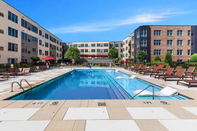 VIVIAN Luxury Rentals