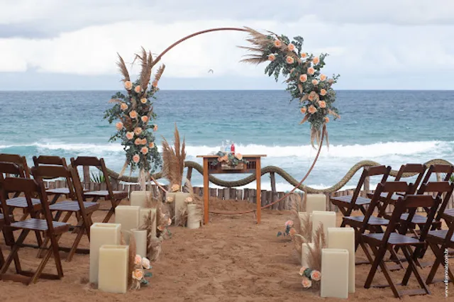 Diver's Point Tucuns