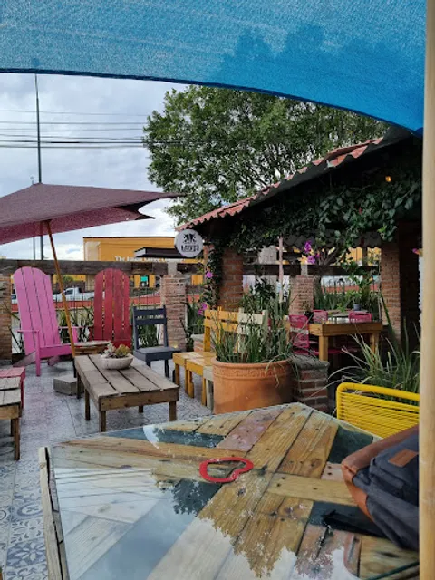 Broga San Miguel de Allende