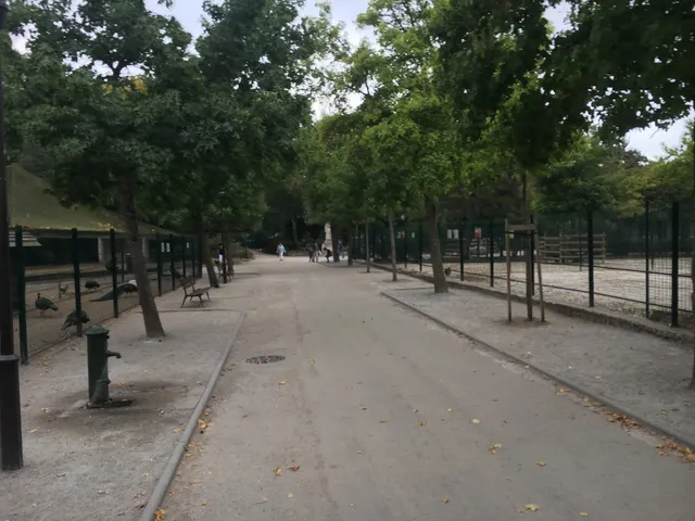 photo-1