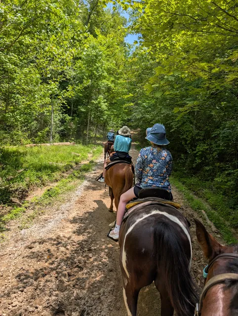 Cumberland Falls Horse Riding Stables