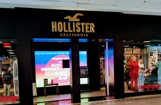 Hollister Co.