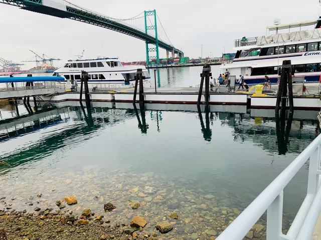 Catalina Island Express Terminal