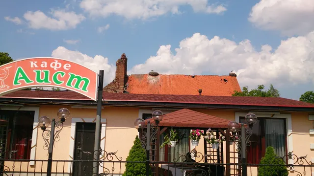 Cafe-bar "Stork"