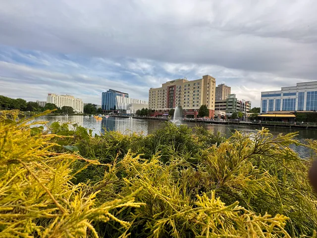 Rio Washingtonian Lake
