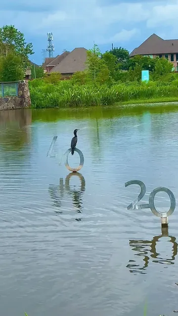 Wetlands Park at Riverstone