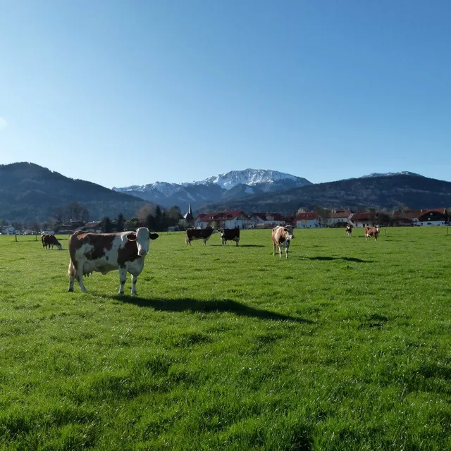Abrahamhof - Sindlhauser Franz u. Cordula