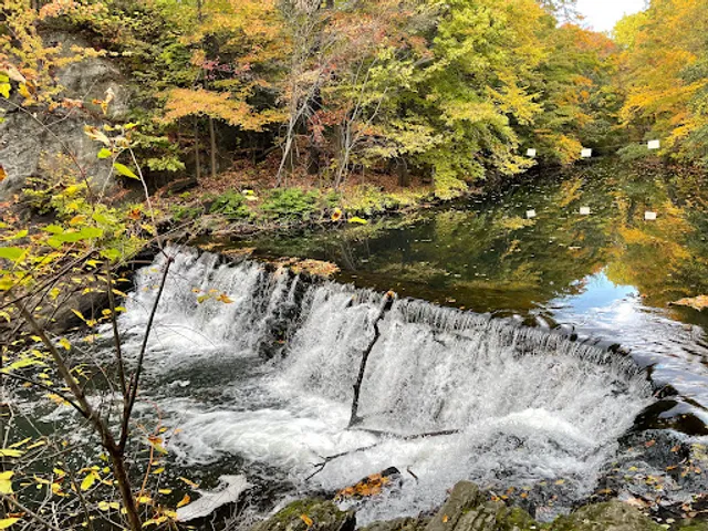 Bronx River Waterfall, NYBG