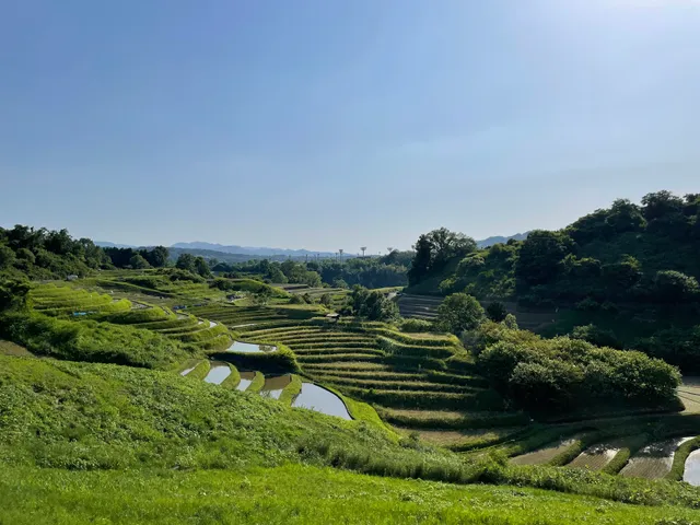Shimo Akasaka Castle Ruins