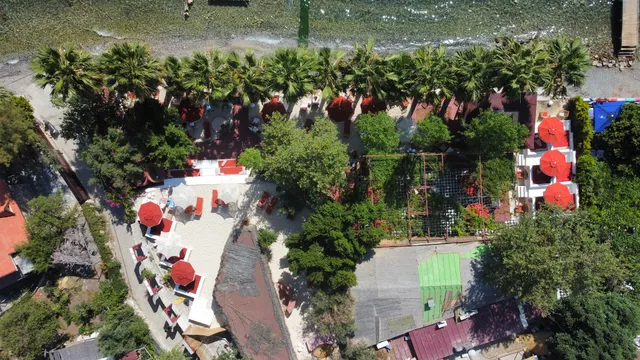 Panocco Söğütköy