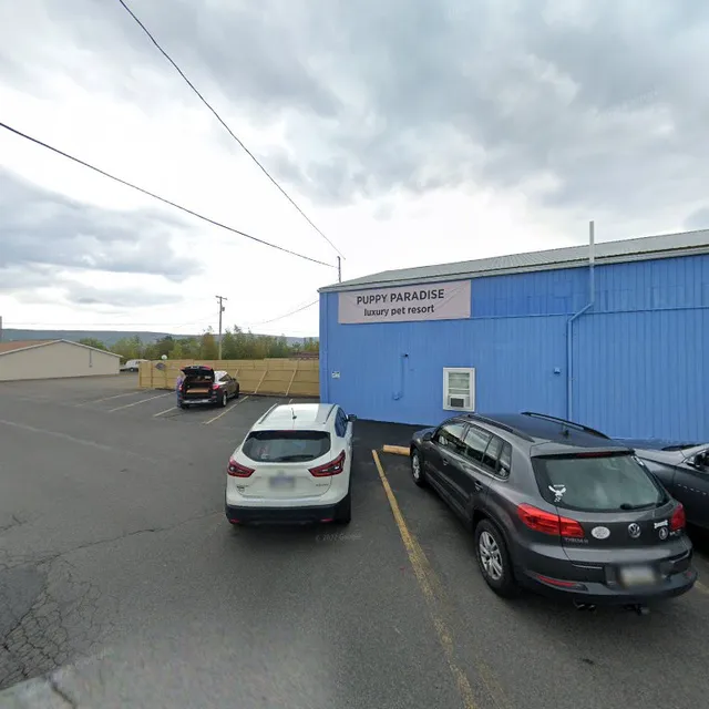 Puppy Paradise