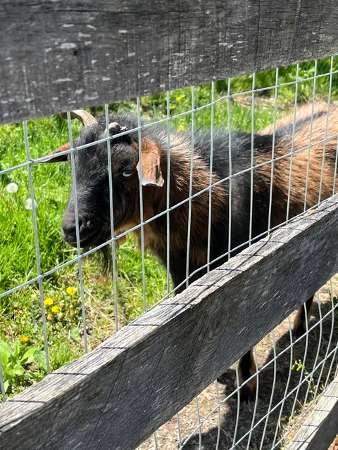Baltimore County Agricultural Center