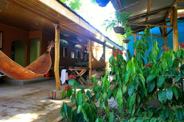 Coral Reef Surf Hostel and Camp