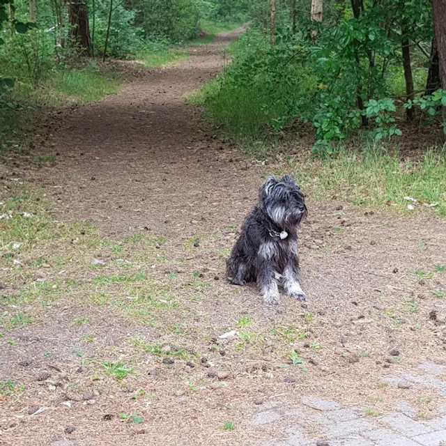 Cafetaria Zwembad De Merel - gemeentebestuur Leopoldsburg