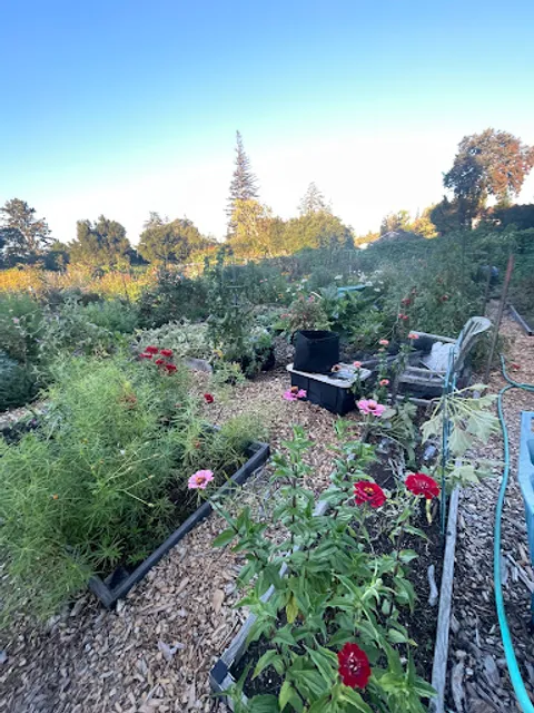Rinconada Community Garden