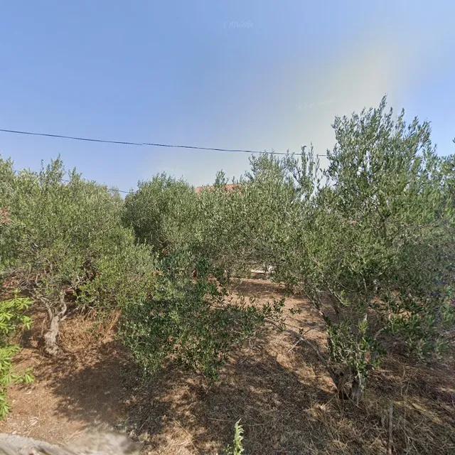 Apartments Lomar, Stari Grad