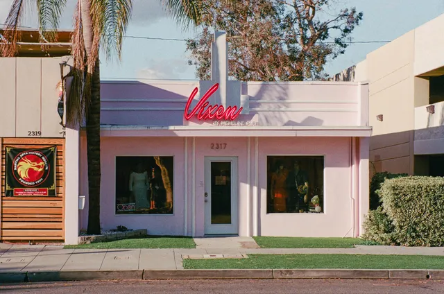 Vixen by Micheline Pitt