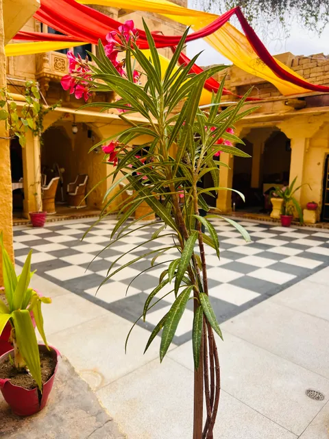 Hotel Lotus Haveli