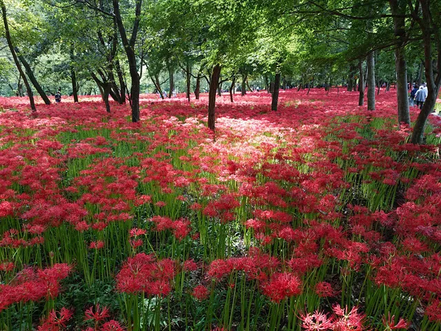 Kinchakuda Park Management Office, Hidaka City