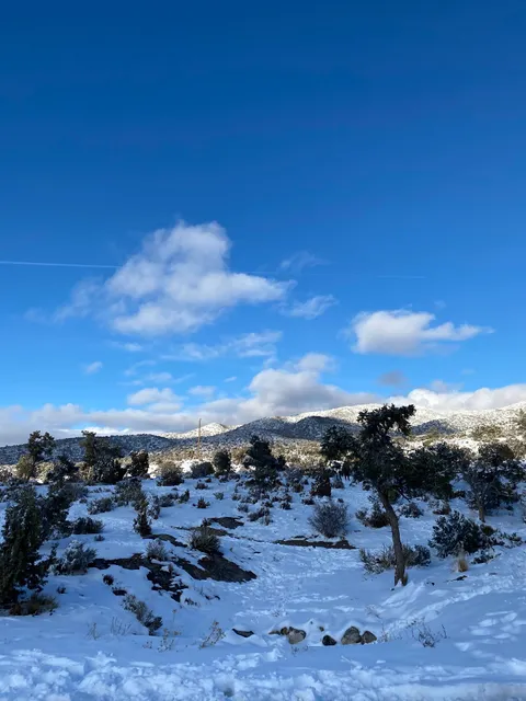 Mountain Springs Summit