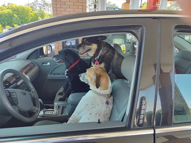 Eyota Veterinary Clinic