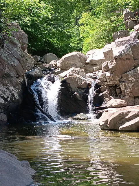 Scott’s Run Nature Preserve