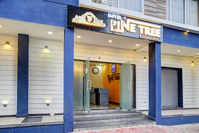 Super Townhouse Pine Tree