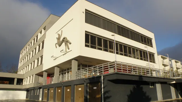 Institute of veterinary training