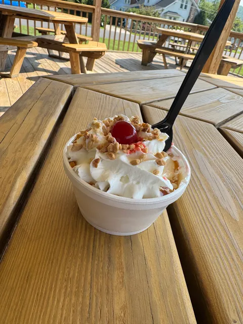 Willow Tree Ice Cream