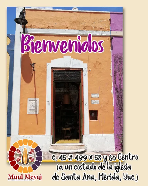 Colectivo Múul Meyaj