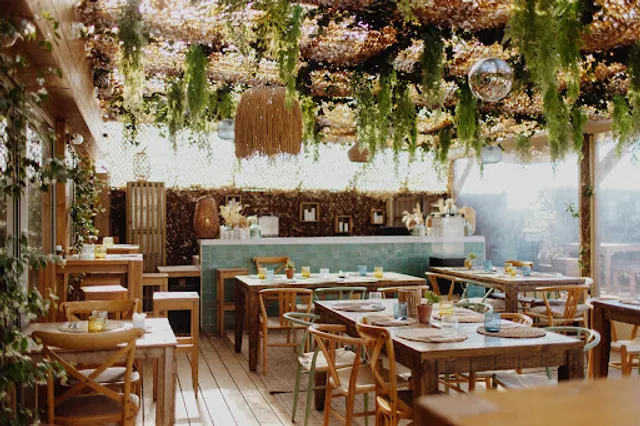 Le Surfing since 1988