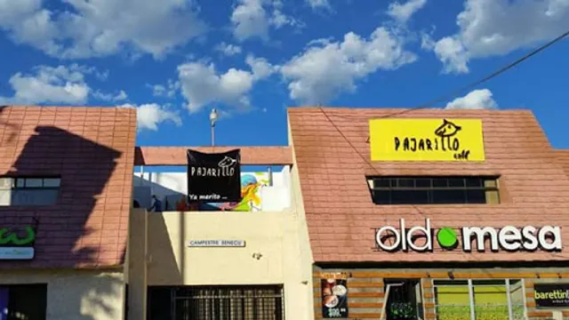 Pajarillo - Tomás Fernández