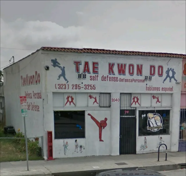 Taekwondo International