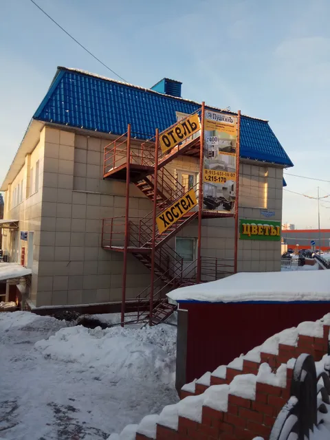 Otel'-Khostel Pushkin"