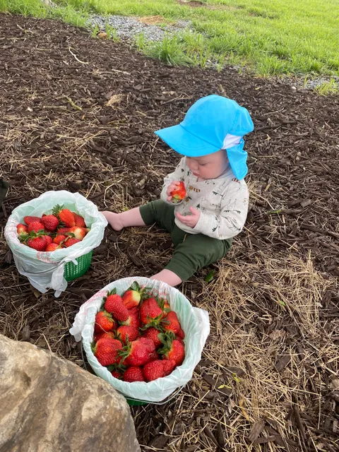 The Farm at Hidden Creek