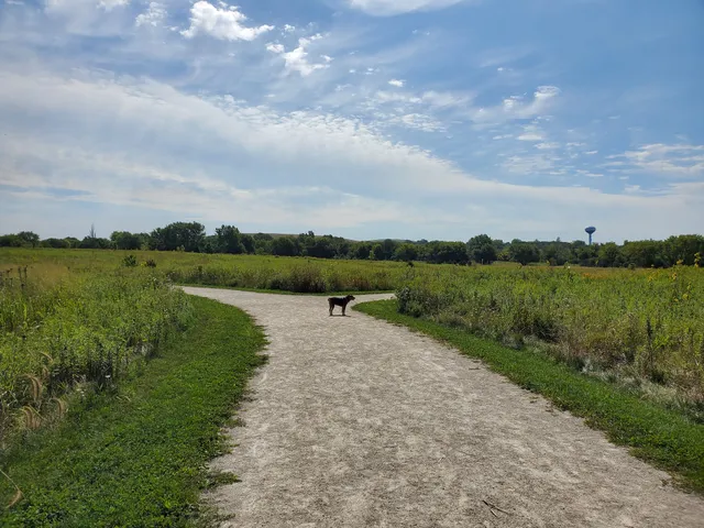 Hawk Hollow Dog Park