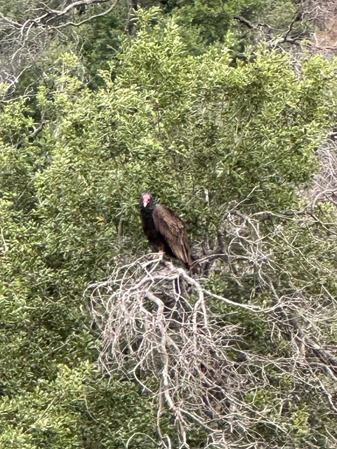 Santa Barbara County Parks